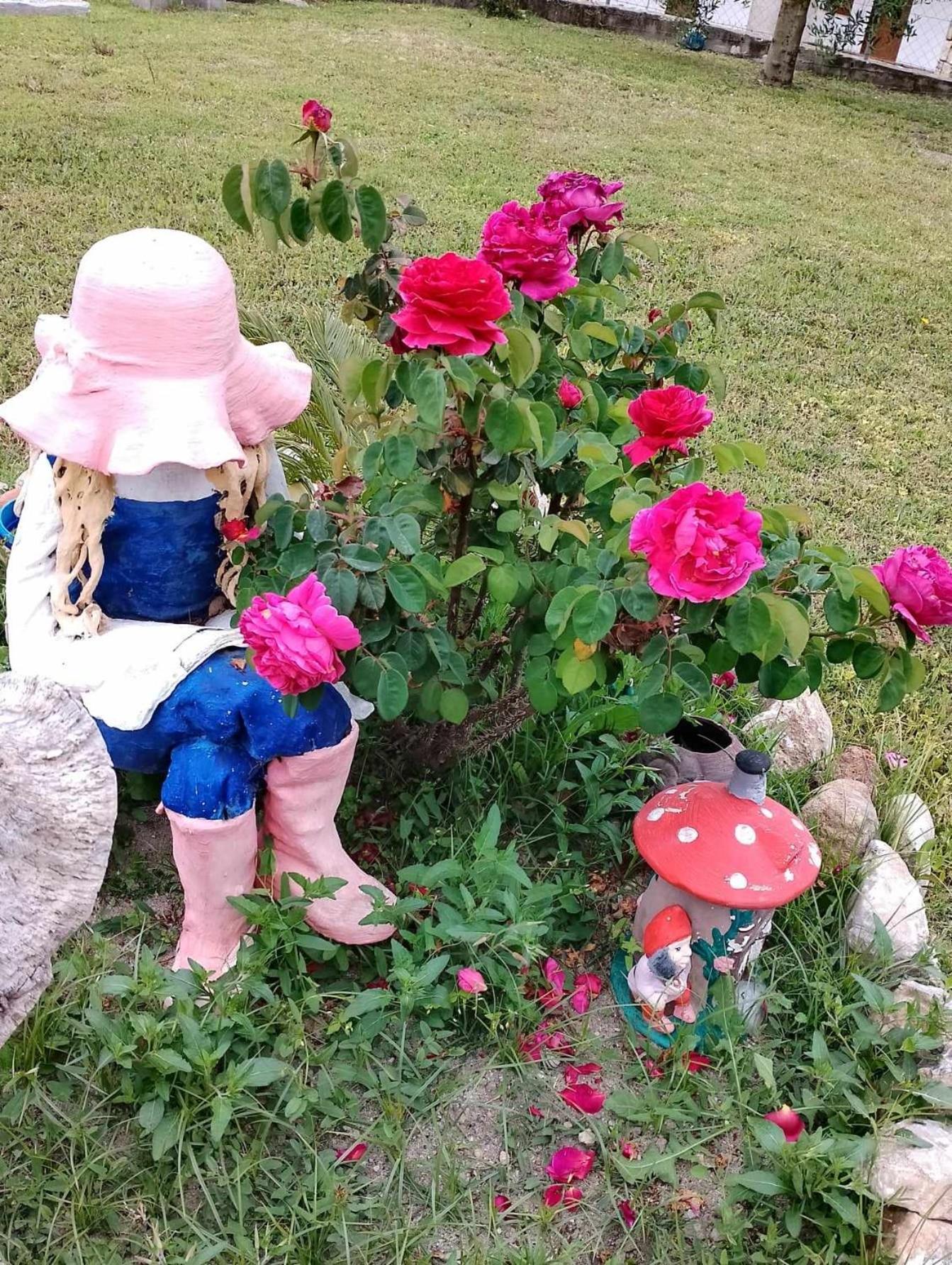 شقة Alexandra'S Garden باليوري المظهر الخارجي الصورة