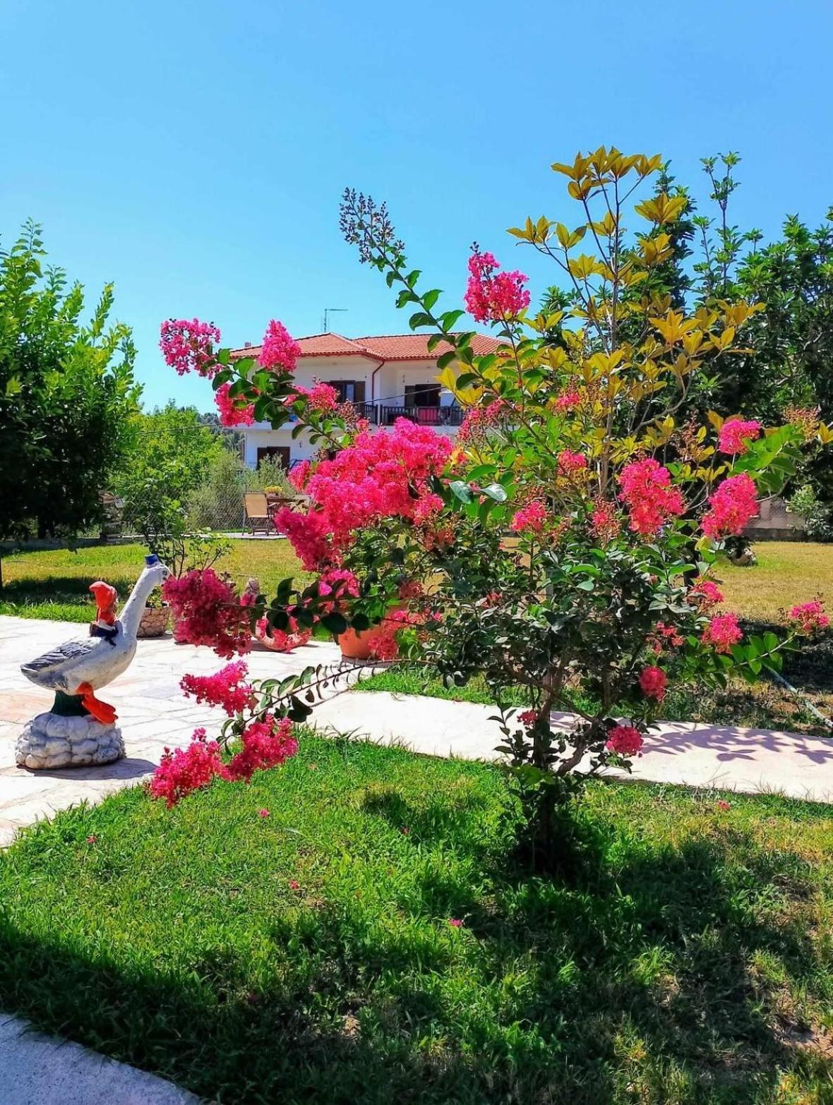 شقة Alexandra'S Garden باليوري المظهر الخارجي الصورة
